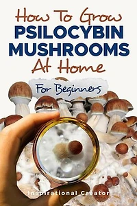 How to Grow Psilocybin Mushrooms at Home for Beginners