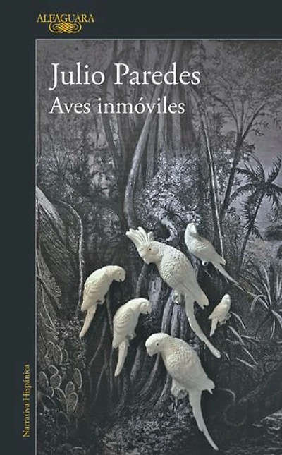 Aves inmóviles