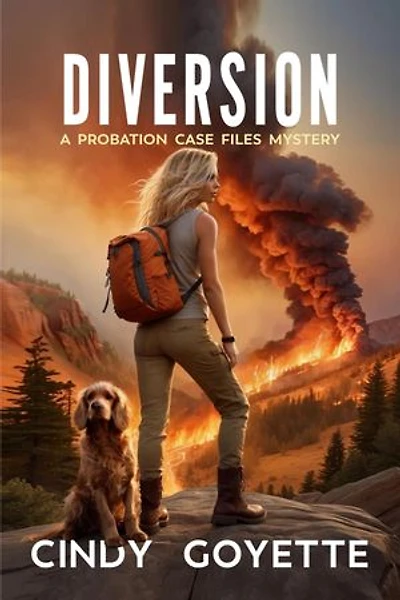 Diversion: A Probation Case Files Mystery