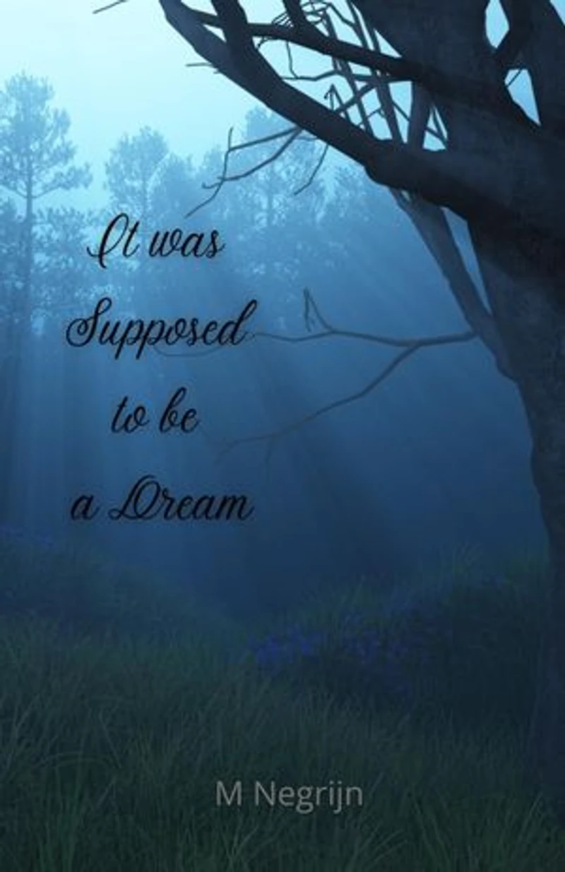 It Was Supposed to Be a Dream