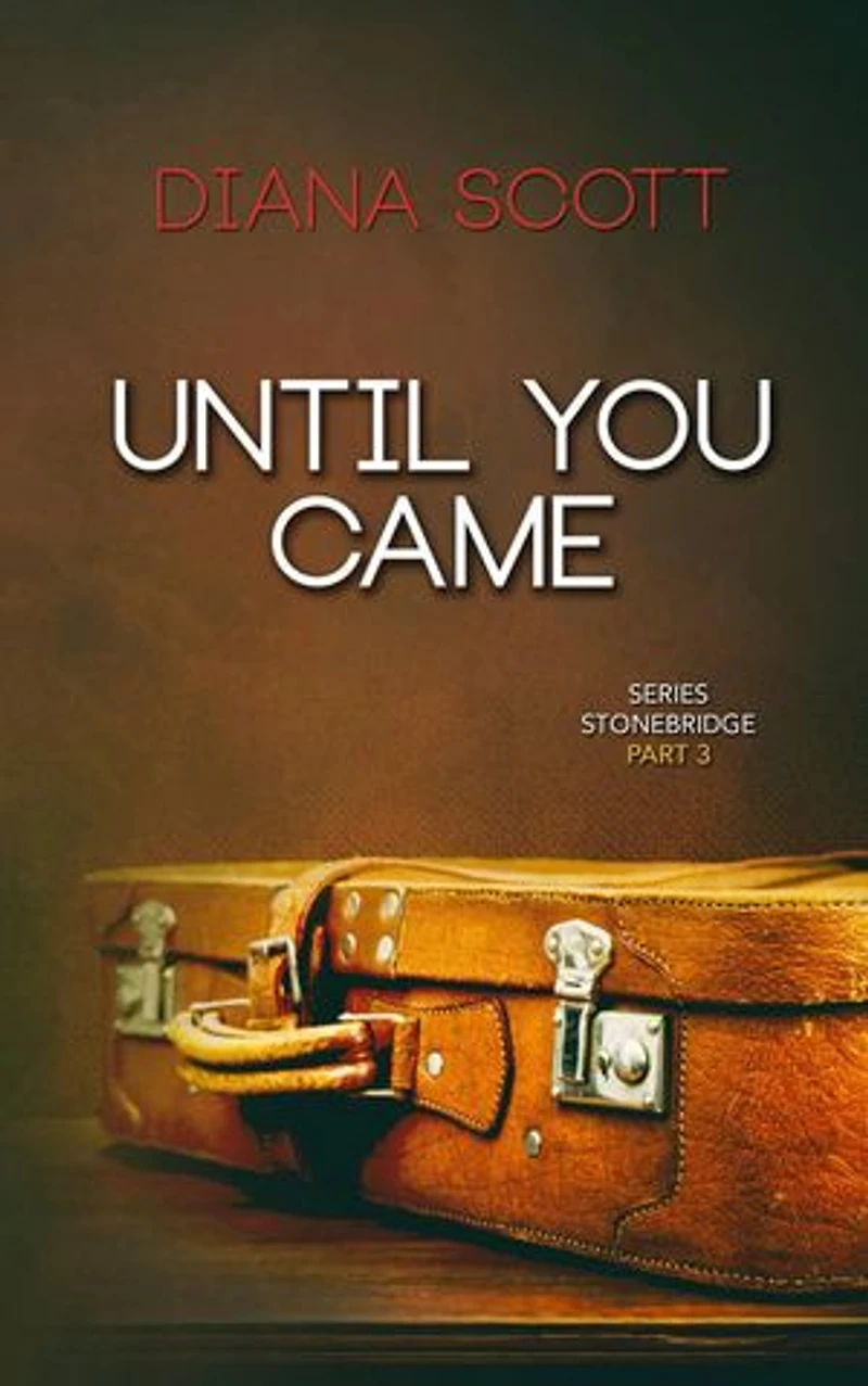 Until you came: Series Stonebridge, #3