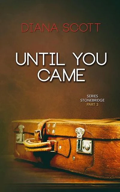 Until you came: Series Stonebridge, #3