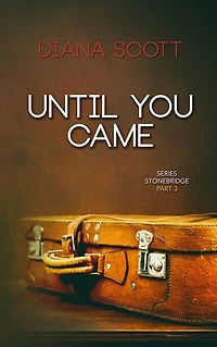 Until you came: Series Stonebridge, #3