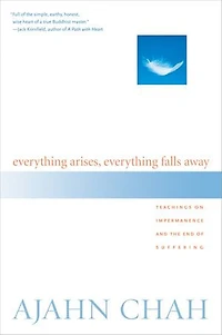 Everything Arises, Falls Away: Teachings on Impermanence and the End of Suffering