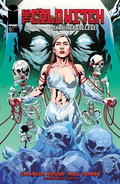 Cold Witch: A Tale Of The Shrouded College #2