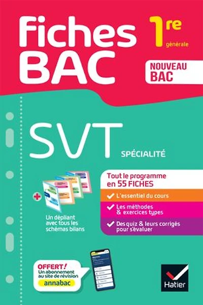 Fiches bac