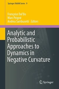 Analytic and Probabilistic Approaches to Dynamics Negative Curvature