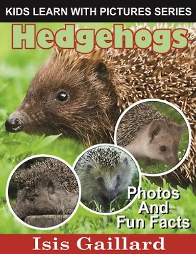 Hedgehogs Photos and Fun Facts for Kids: Kids Learn With Pictures, #16