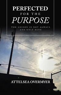 Perfected for The Purpose: Lesson Is Not Always and Only Mine