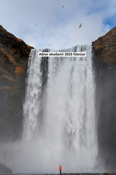 Aðrar skoðanir 2025 febrúar