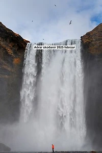 Aðrar skoðanir 2025 febrúar