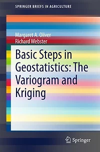 Basic Steps Geostatistics: The Variogram and Kriging