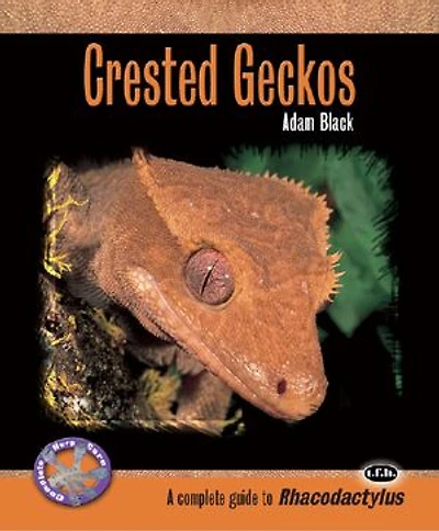 Crested Geckos: A Complete Guide To Rhacodactylus
