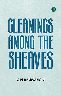 Gleanings among the Sheaves