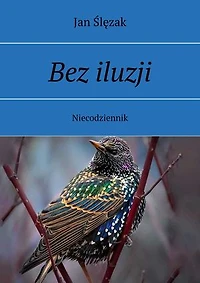 Bez iluzji