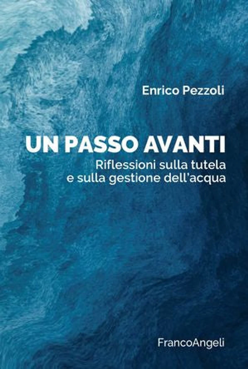 Un passo avanti: Riflessioni sulla tutela e sulla gestione dell'acqua