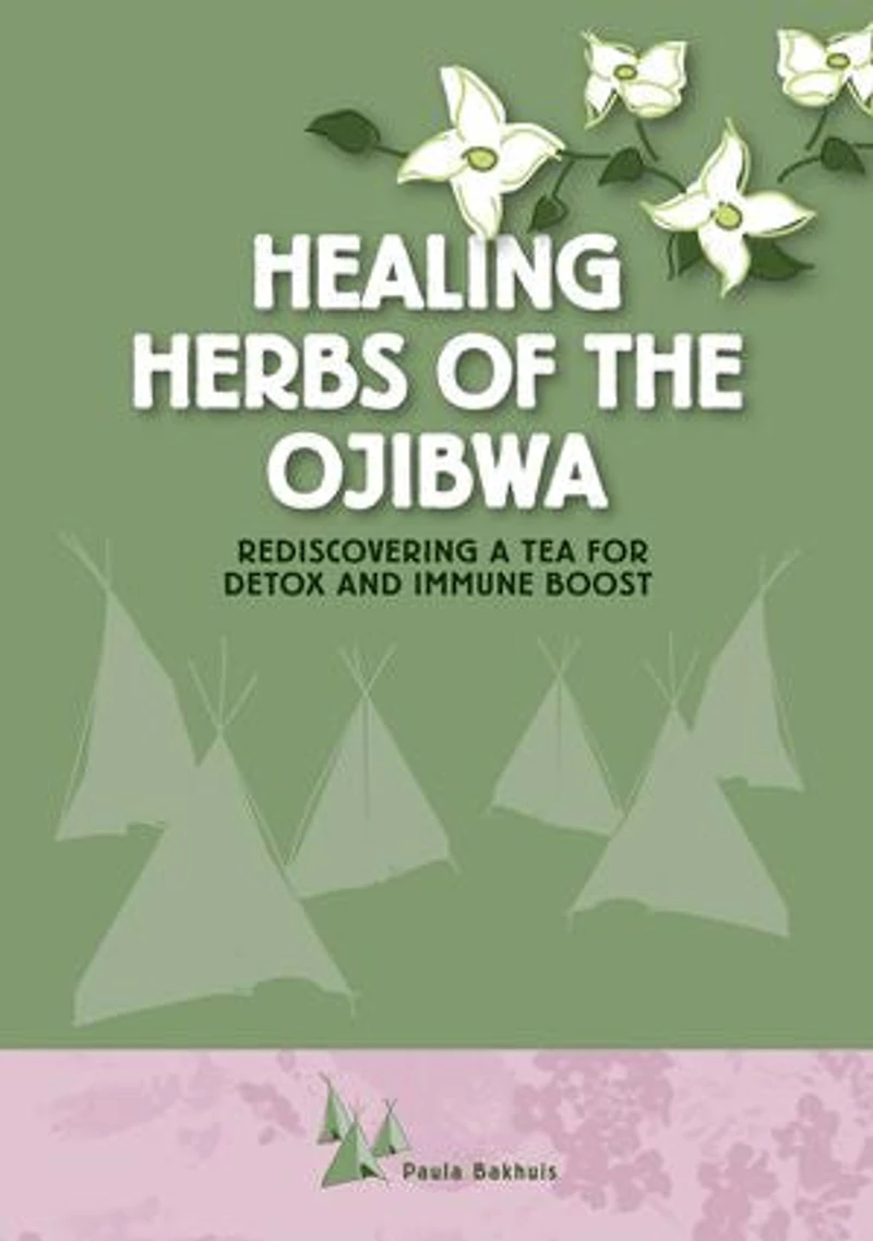 Healing Herbs of the Ojibwa: Rediscovering a tea for detox and immune boost