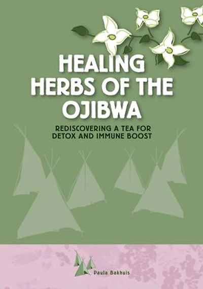 Healing Herbs of the Ojibwa: Rediscovering a tea for detox and immune boost