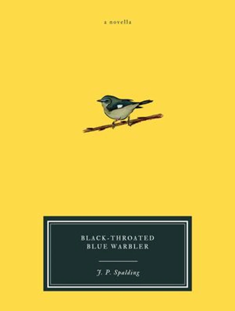Black-Throated Blue Warbler