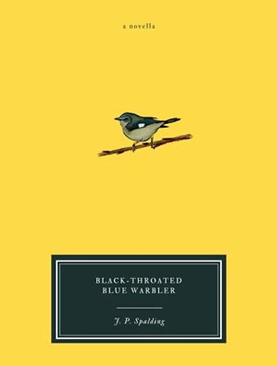 Black-Throated Blue Warbler