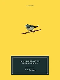 Black-Throated Blue Warbler