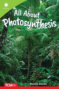 All about Photosynthesis