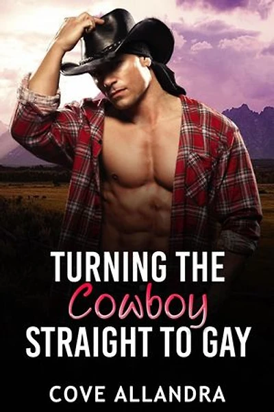 Turning The Cowboy Straight To Gay