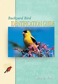 Backyard Bird Identification Guide