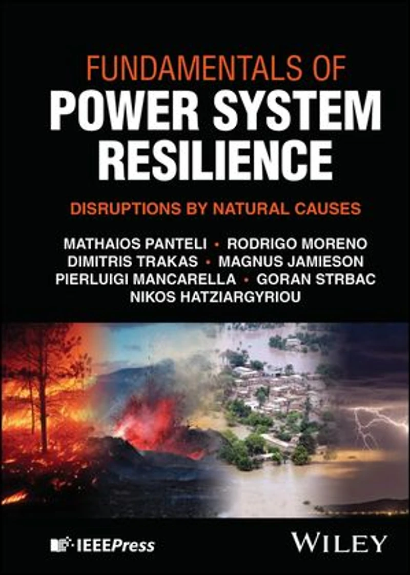 Fundamentals of Power System Resilience: Disruptions by Natural Causes