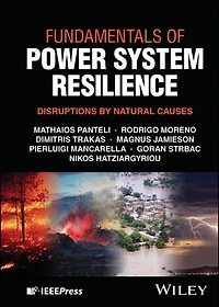 Fundamentals of Power System Resilience: Disruptions by Natural Causes