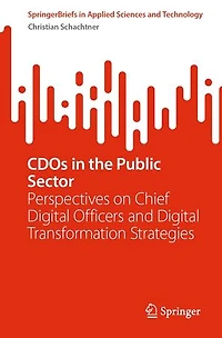 CDOs the Public Sector: Perspectives on Chief Digital Officers and Transformation Strategies