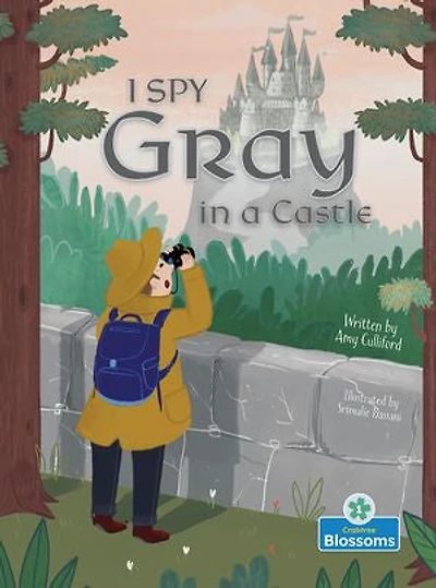 I Spy Gray a Castle