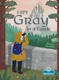 I Spy Gray a Castle