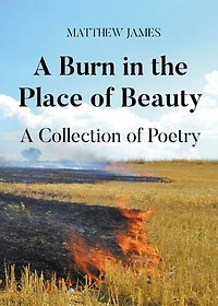 A Burn in the Place of Beauty: A Collection of Poetry