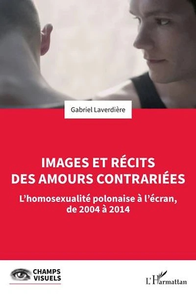 Images et récits des amours contrariées: L’homosexualité polonaise à l’écran, de 2004 à 2014