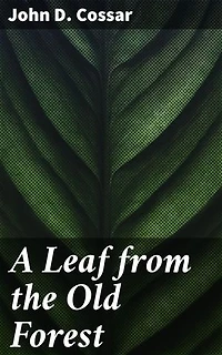 A Leaf from the Old Forest: Journey through a mythical forest of mystery and wonder, where nature is a character in itself