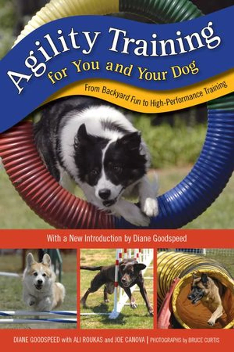 Agility Training for You and Your Dog: From Backyard Fun to High-Performance Training