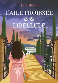 L'aile froissée de la libellule: une propriété en Provence, des secrets famille, histoire résilience, d’amour et trahison