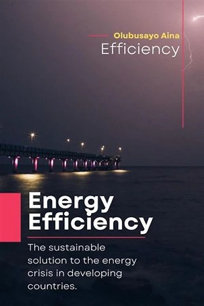 Energy Efficiency: The sustainable solution to the energy crisis in developing countries.