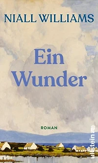 Ein Wunder: Roman | »Eine sublime Erzählung vom Leben in einer irischen Kleinstadt. Ein langsam brennender, fein gearbeiteter Roman über zweite Chancen, Menschlichkeit und familiäre Liebe.« Observer
