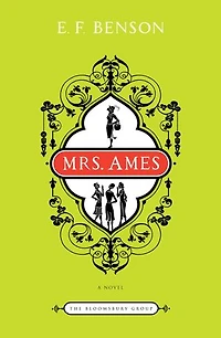 Mrs. Ames: A Novel