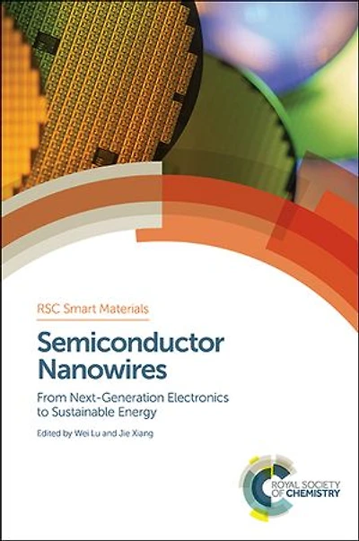 Semiconductor Nanowires: From Next-Generation Electronics to Sustainable Energy
