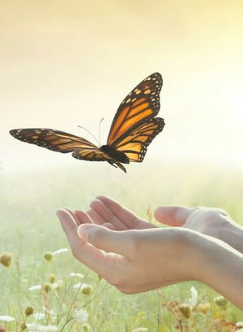 Let Go and Trust