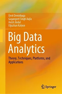 Big Data Analytics: Theory, Techniques, Platforms