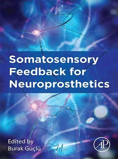 Somatosensory Feedback For Neuroprosthetics