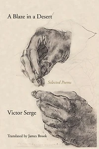 Blaze a Desert: Selected Poems