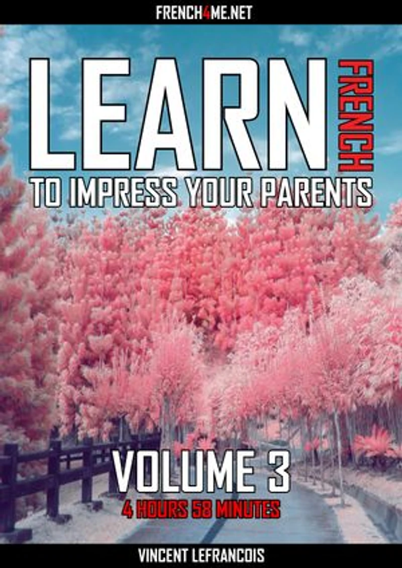 Learn French to impress your parents (4 hours minutes