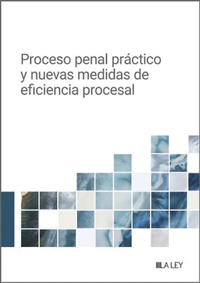 Proceso penal práctico y nuevas medidas de eficiencia procesal