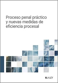 Proceso penal práctico y nuevas medidas de eficiencia procesal