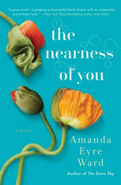 The Nearness Of You: A Novel